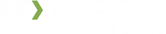 FEX CAPITAL LOANS